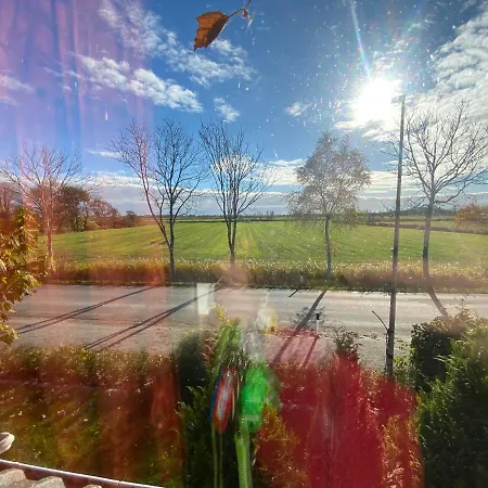 Zum Leuchtfeuer 招待所